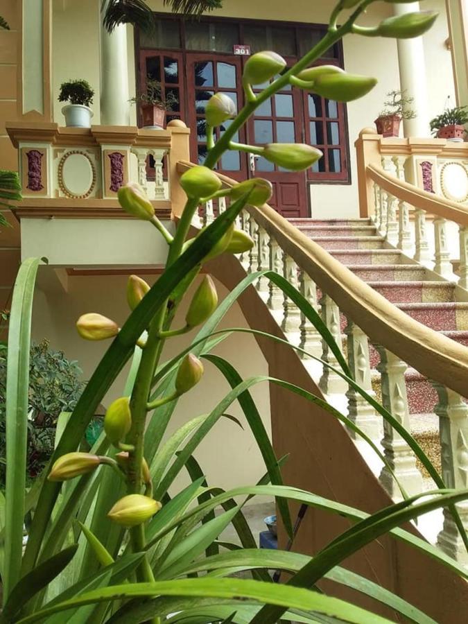 Kien Hanh Tam Dao - Venuestay Hanoi